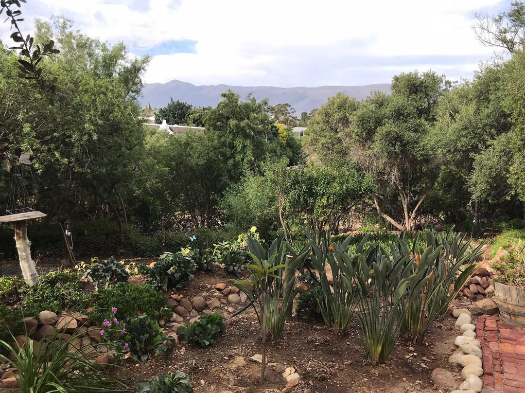 African Tulip Guesthouse主图