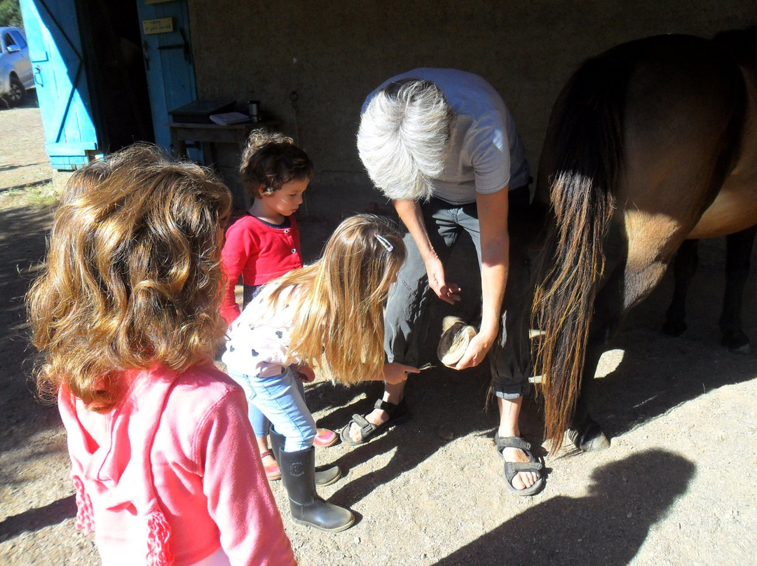 PeripetiaHorses-Chrani必去景点