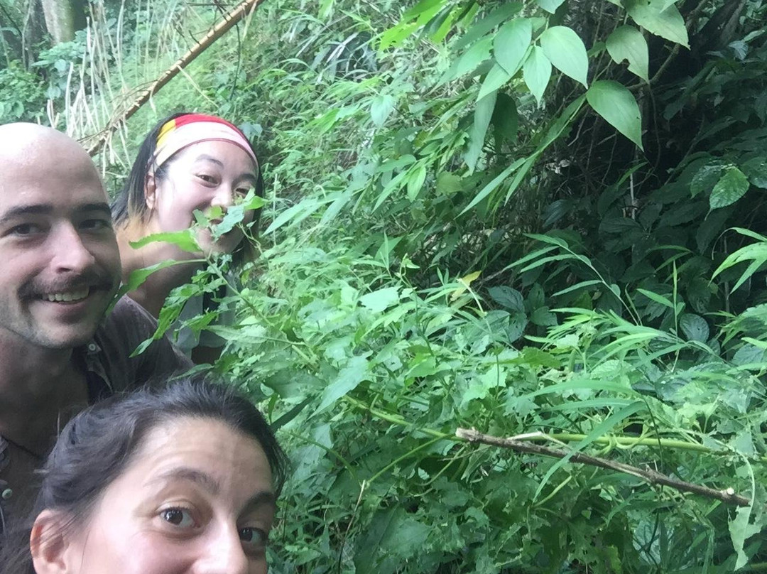 Simangande Waterfall-沙摩西岛必去景点
