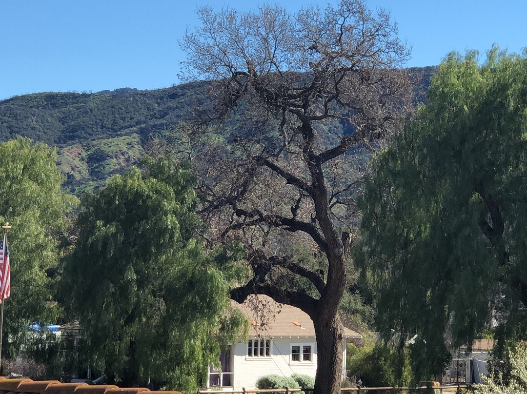 卡萨奥杰旅馆主图