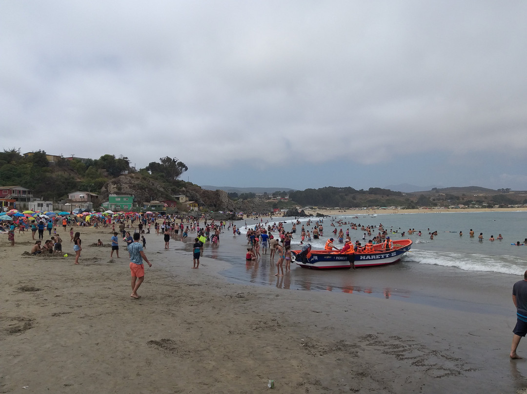 Playa Pichicuy-La Ligua必去景点