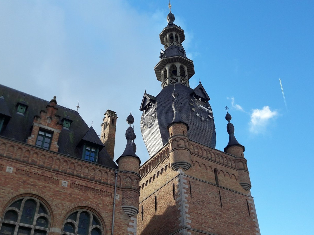 Beffroi de l'Hotel de Ville景点图片