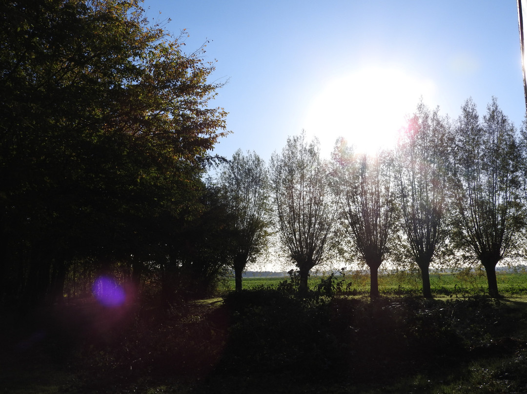 Hotel de Elderschans主图