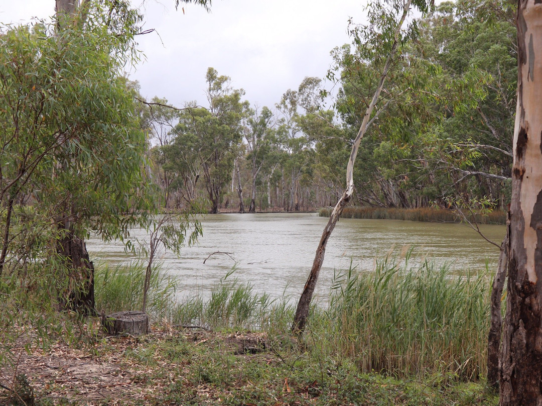 Nathalia餐馆和美食-The Timbercutter