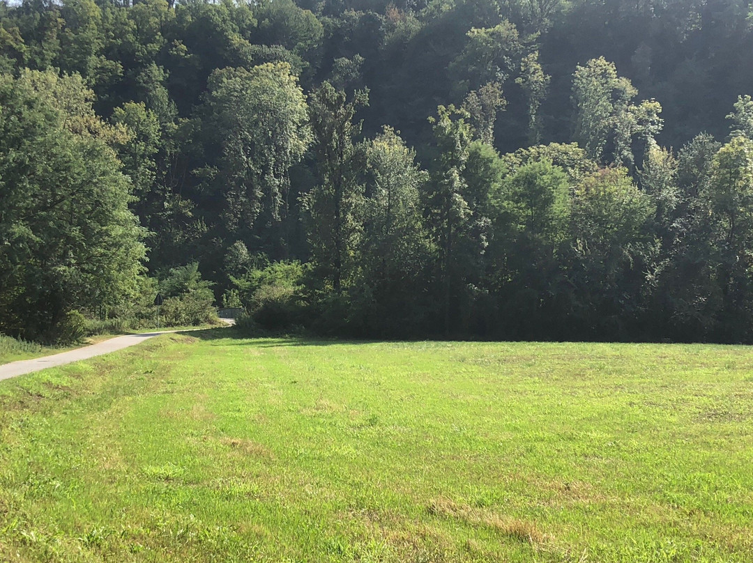Pista Ciclo-Pedonale Cittiglio - Laveno Mombello-Cittiglio必去景点