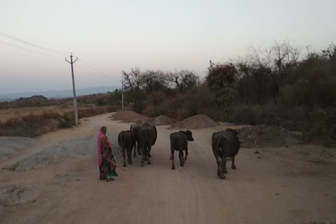 Leopard Hills-Bera必去景点