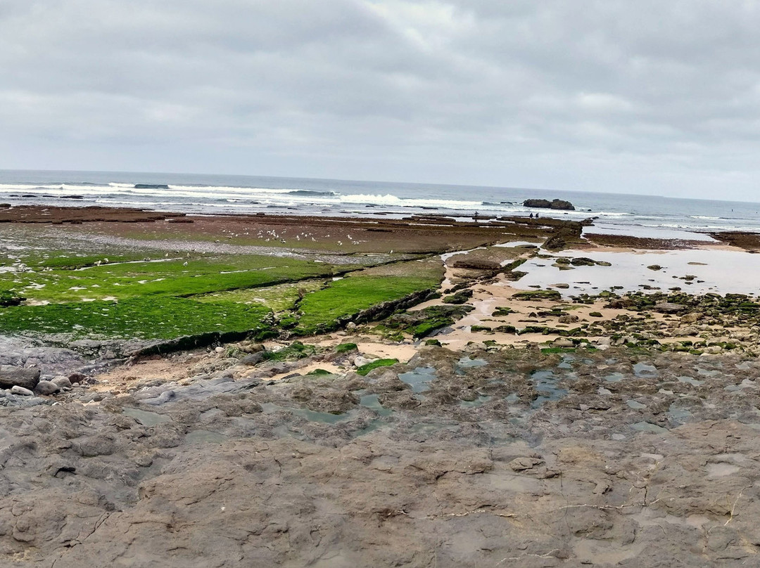 Praia do Matadouro景点图片