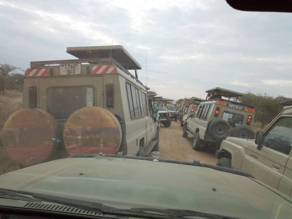 Haleluya Tours & Safaris-乞力马扎罗山国家公园必去景点