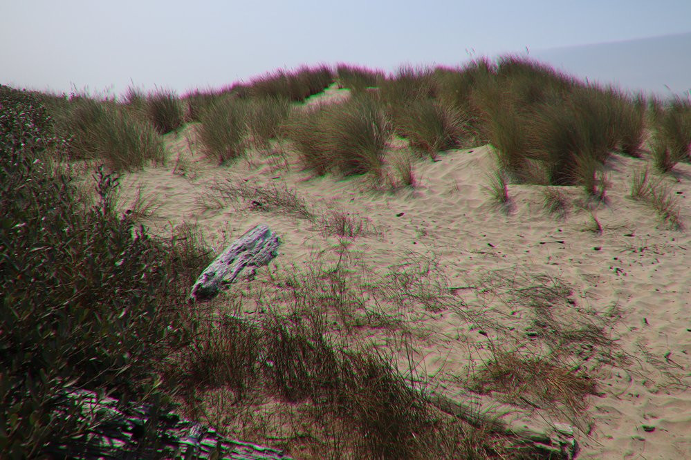 Driftwood Beach State Recreation Site-Seal Rock必去景点