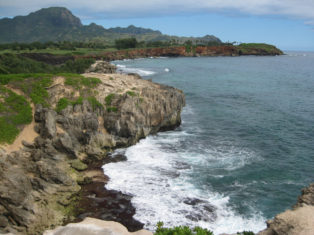 Makawehi Lithified Cliffs景点图片
