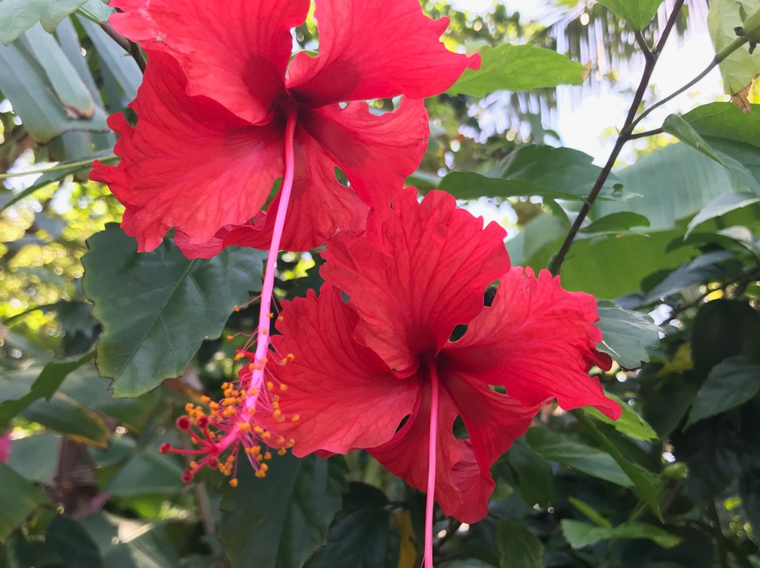 Xbalanque Resort主图