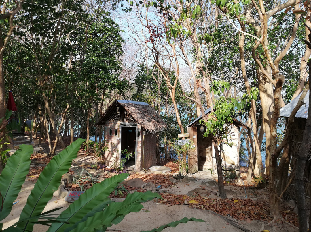 Noina's Mystic Mountain主图