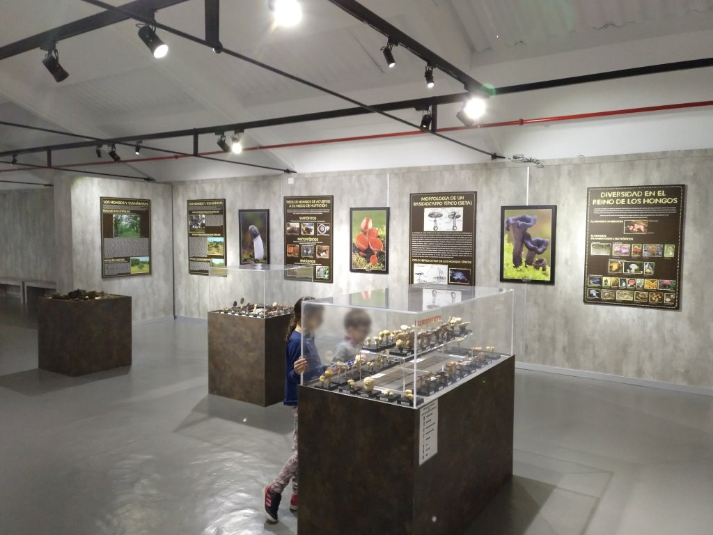 Museo de la Biodiversidad景点图片