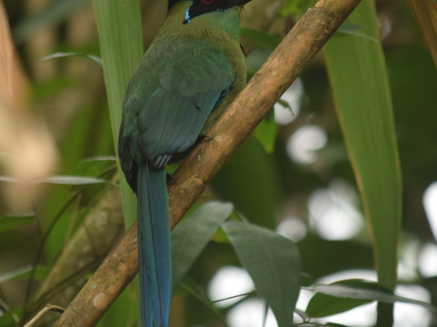 La Tángara Hostal Rural主图