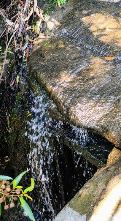 Dundundra Falls Reserve景点图片