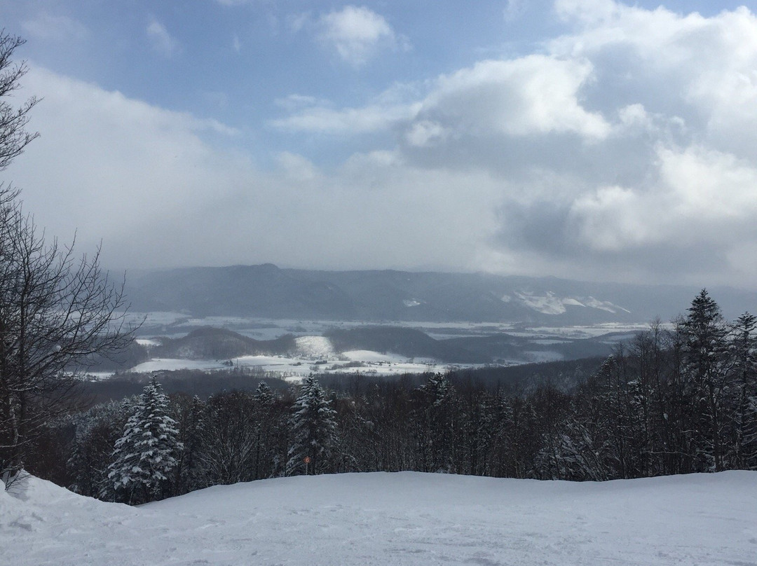 富良野滑雪场景点图片