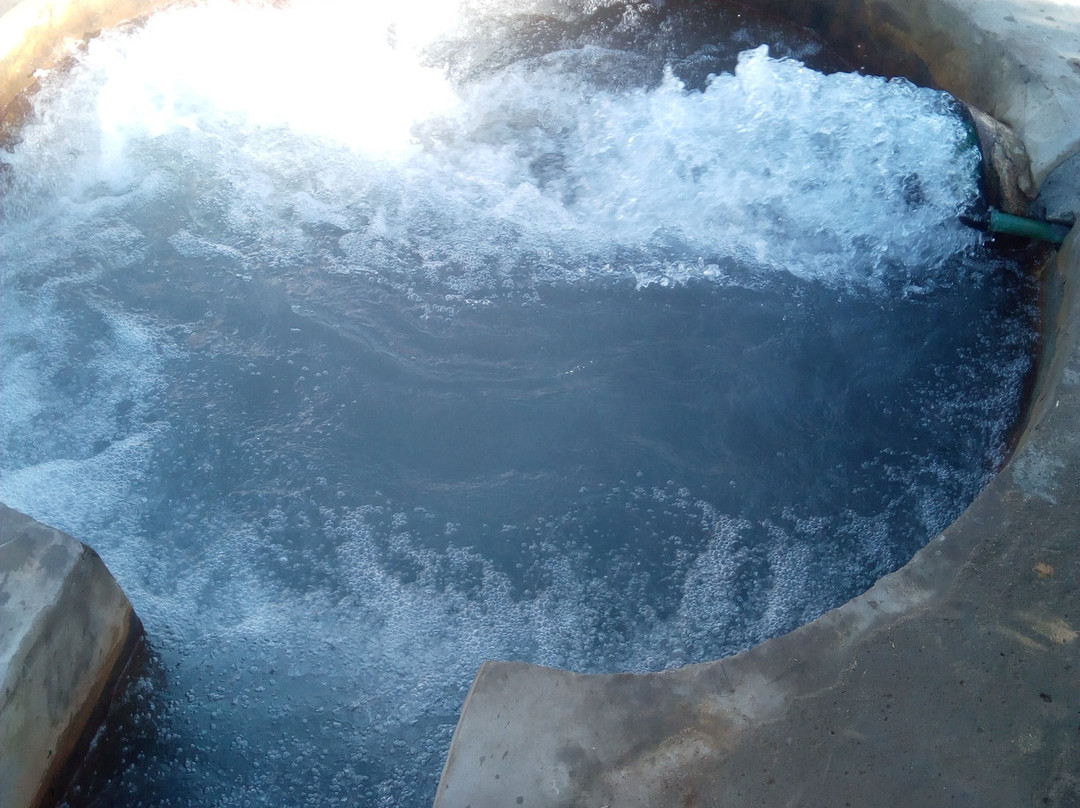 Al-Khargah Oasis-Kharga必去景点