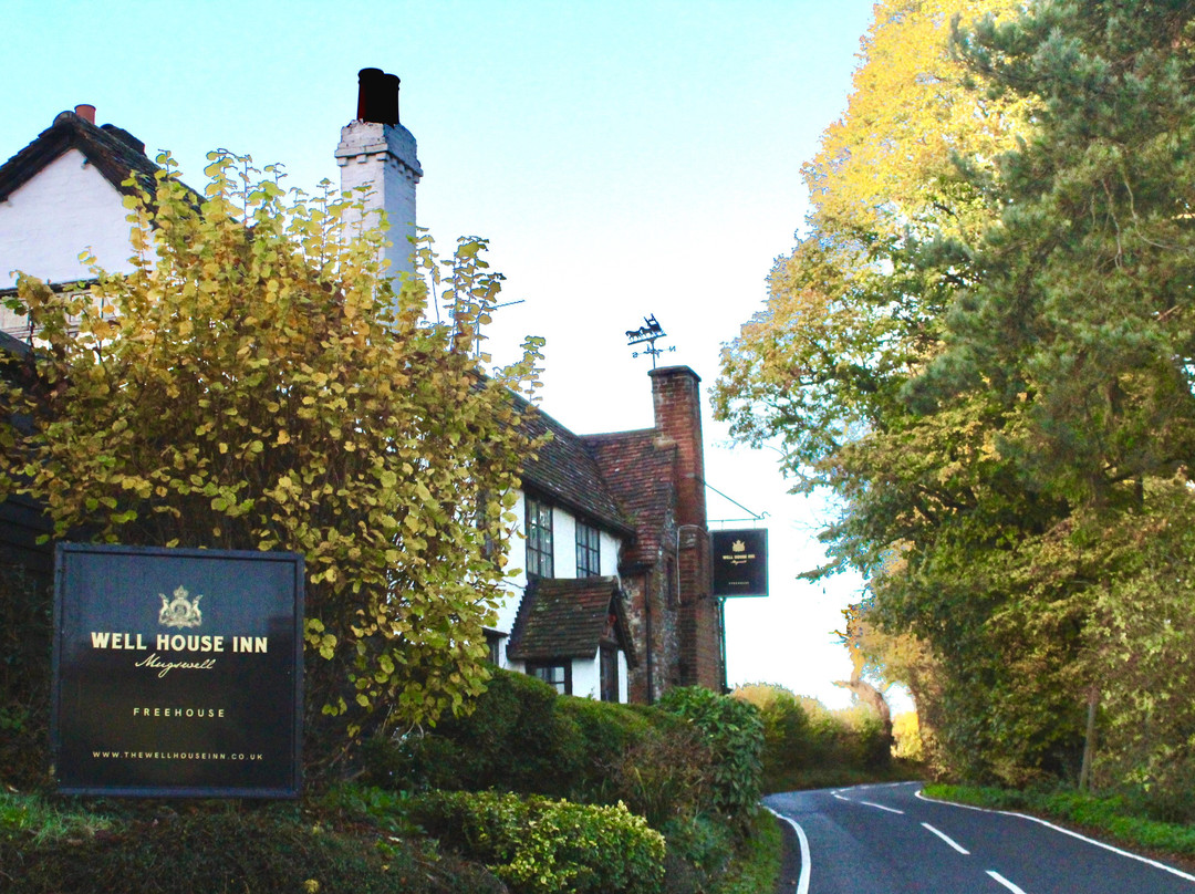 Kingswood餐馆和美食-The Well House Inn