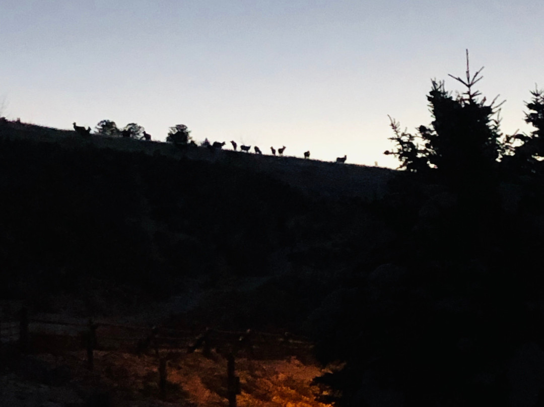 Lone Mountain Ranch Outdoor Shop-大斯凯必去景点