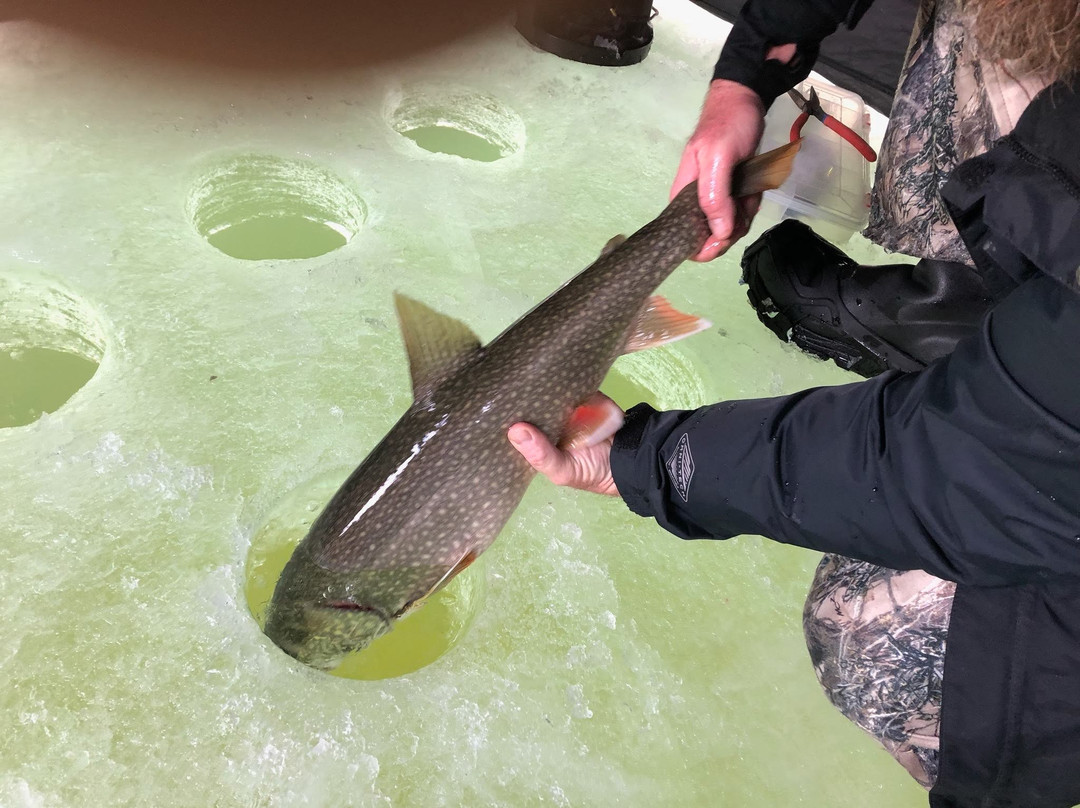 Ice Fish Winter Park景点图片