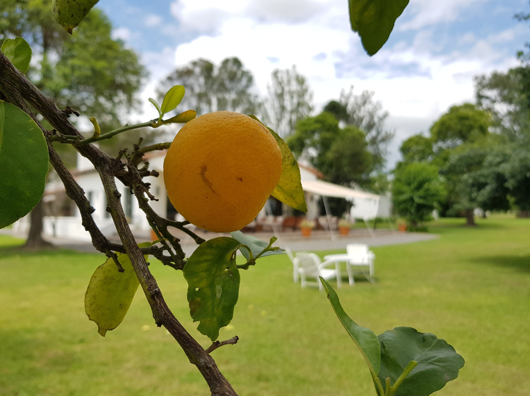 House of Jasmines - Estancia de Charme主图