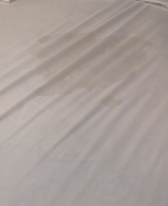 El Sueno Tropical Lodge主图