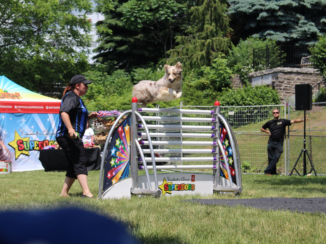 Port Credit Memorial Park-米西索加必去景点