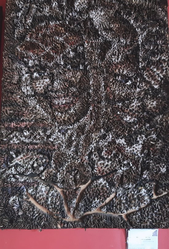 Museo Dabawenyo-达沃必去景点