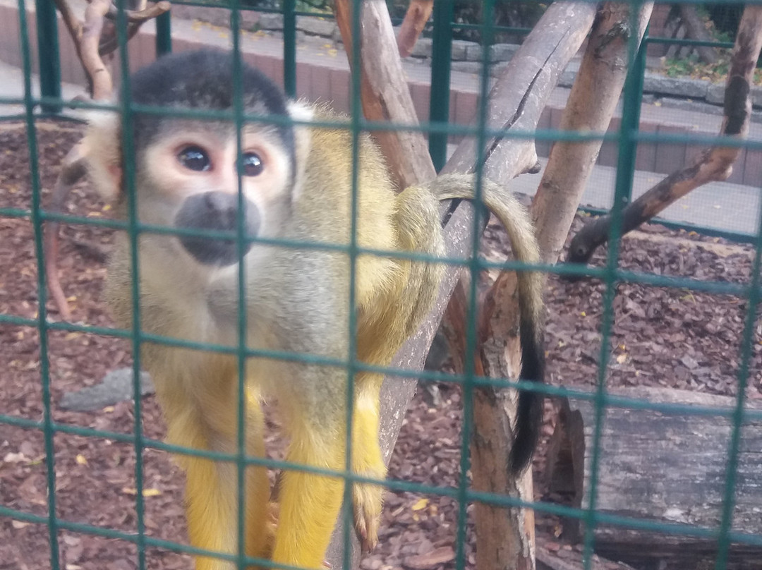 Tierpark-威滕伯格必去景点
