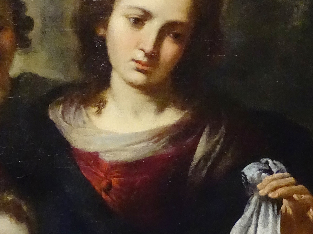 Musei di Strada Nuova - Palazzo Rosso-热那亚必去景点