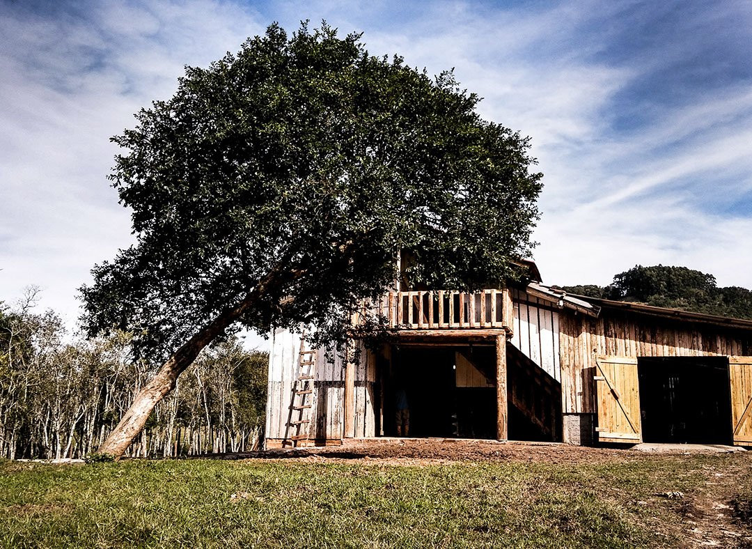 Cavalaria Martin Fierro-Bom Principio必去景点