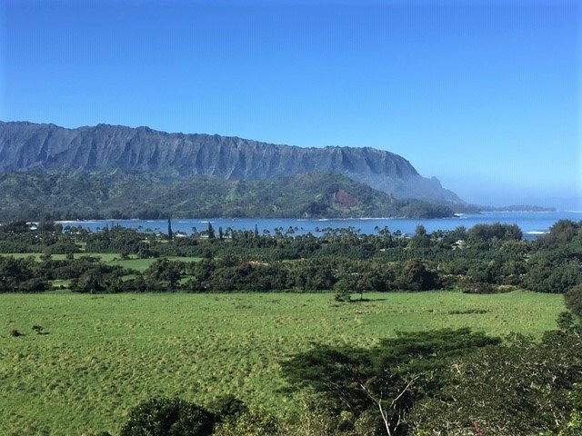 Hanalei Valley Lookout景点图片