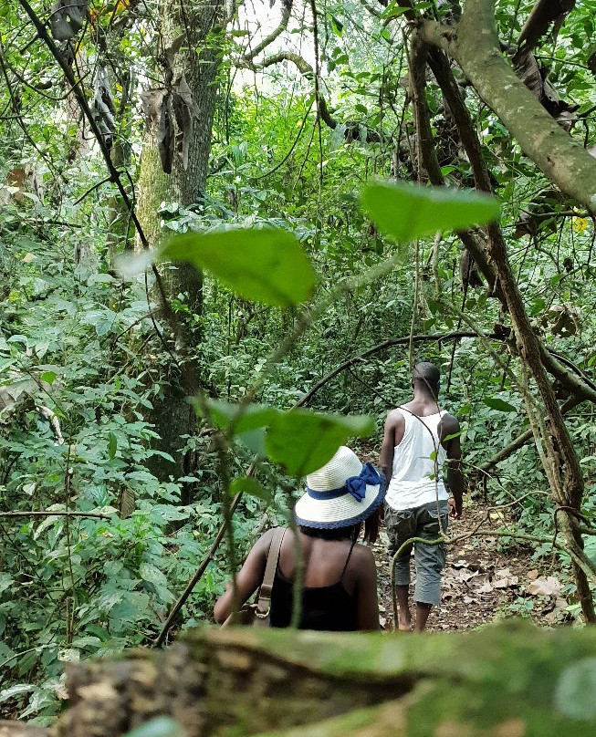 Royal Mile Budongo Forest-马辛迪必去景点