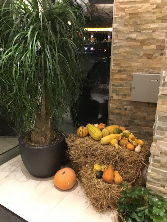 巴巴丽娜酒店主图