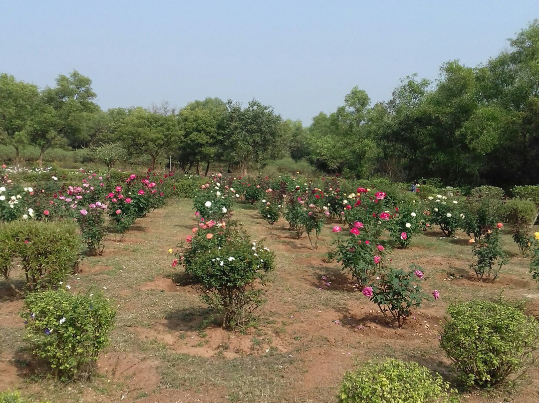 Gopegarh Eco Park景点图片