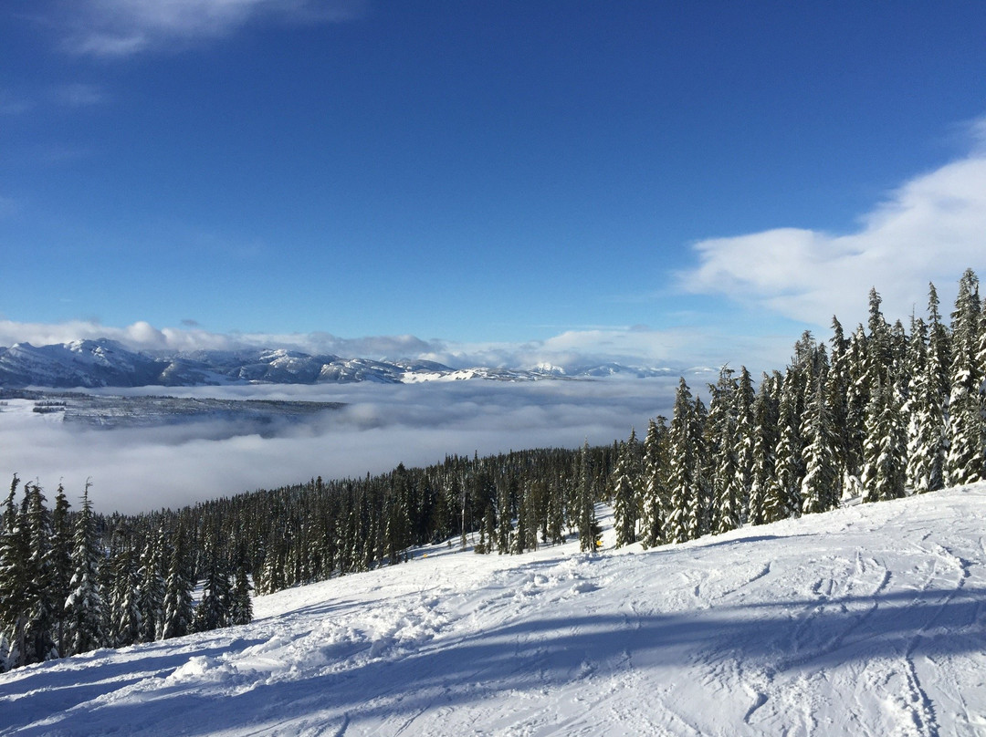 Mount Washington Alpine Resort景点图片