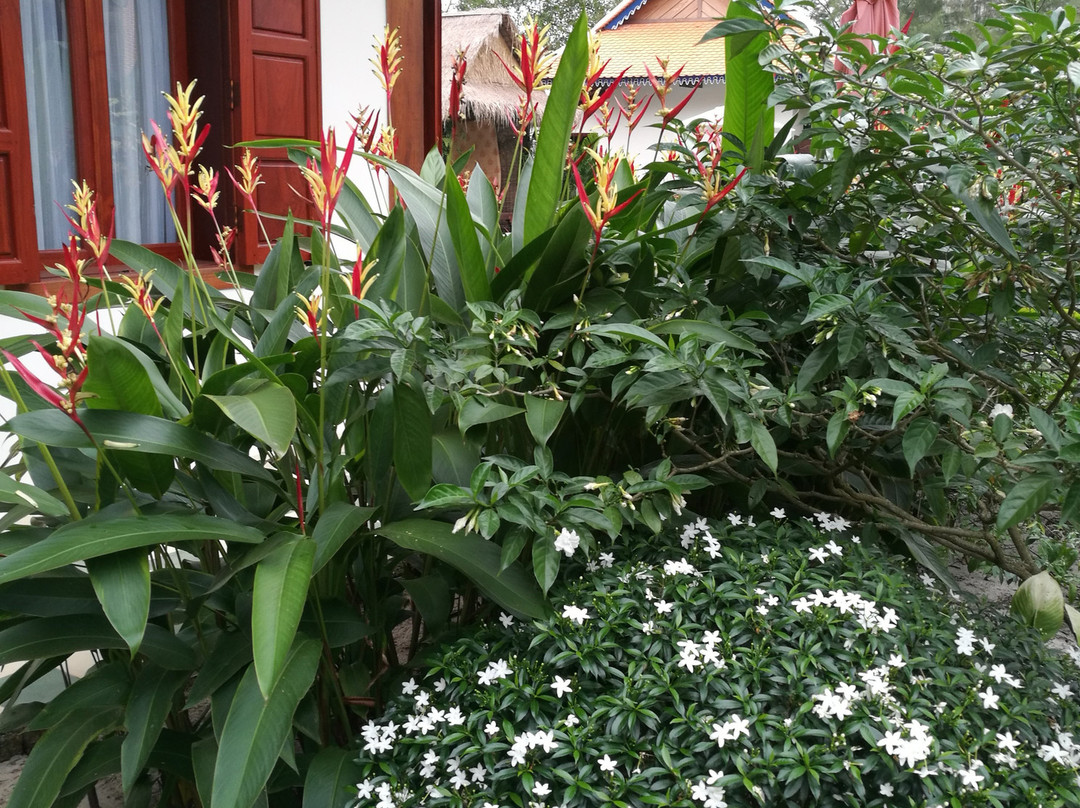 Samot Baitong Resort主图