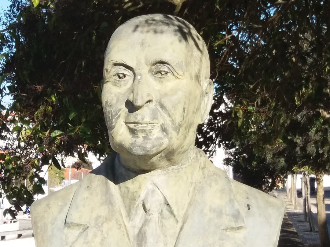 Monumento Busto a Alvaro Sampaio景点图片