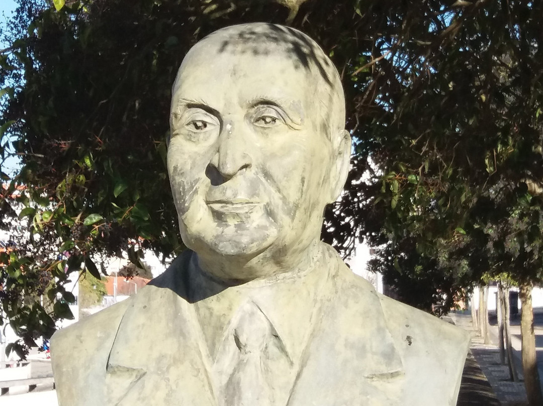 Monumento Busto a Alvaro Sampaio-阿威罗必去景点