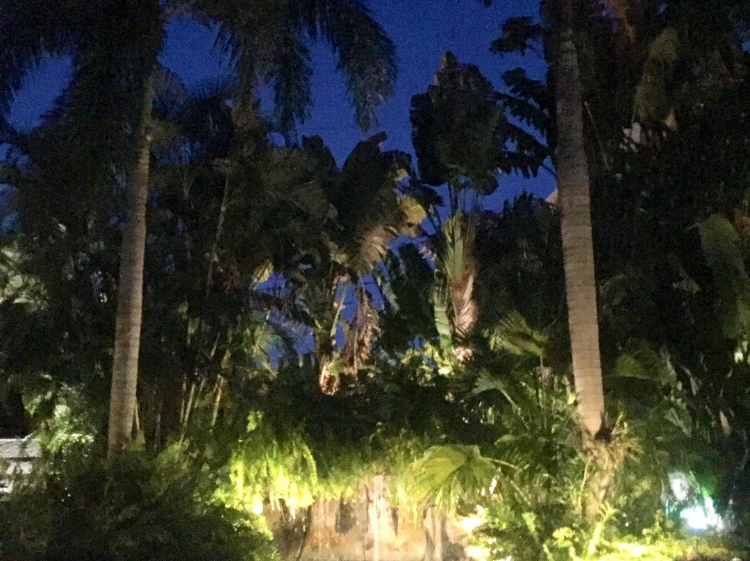 Ed Lugo Resort主图