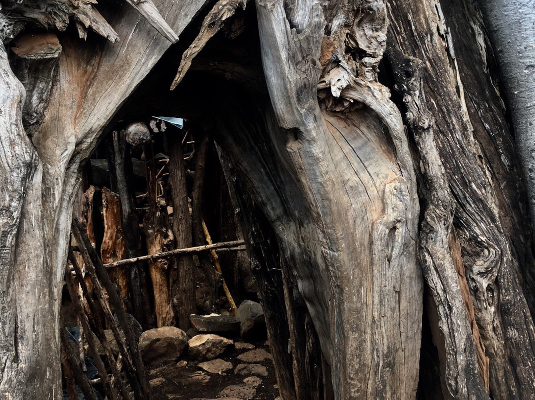 Konso Cultural Centre景点图片
