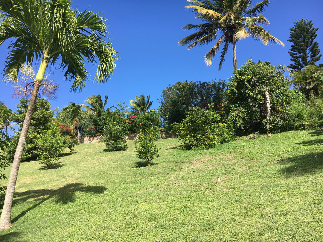 Gingerbread Hill主图