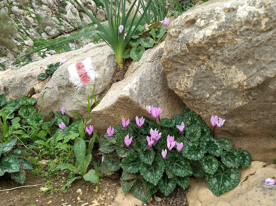 Israel Insider Tours-特拉维夫必去景点