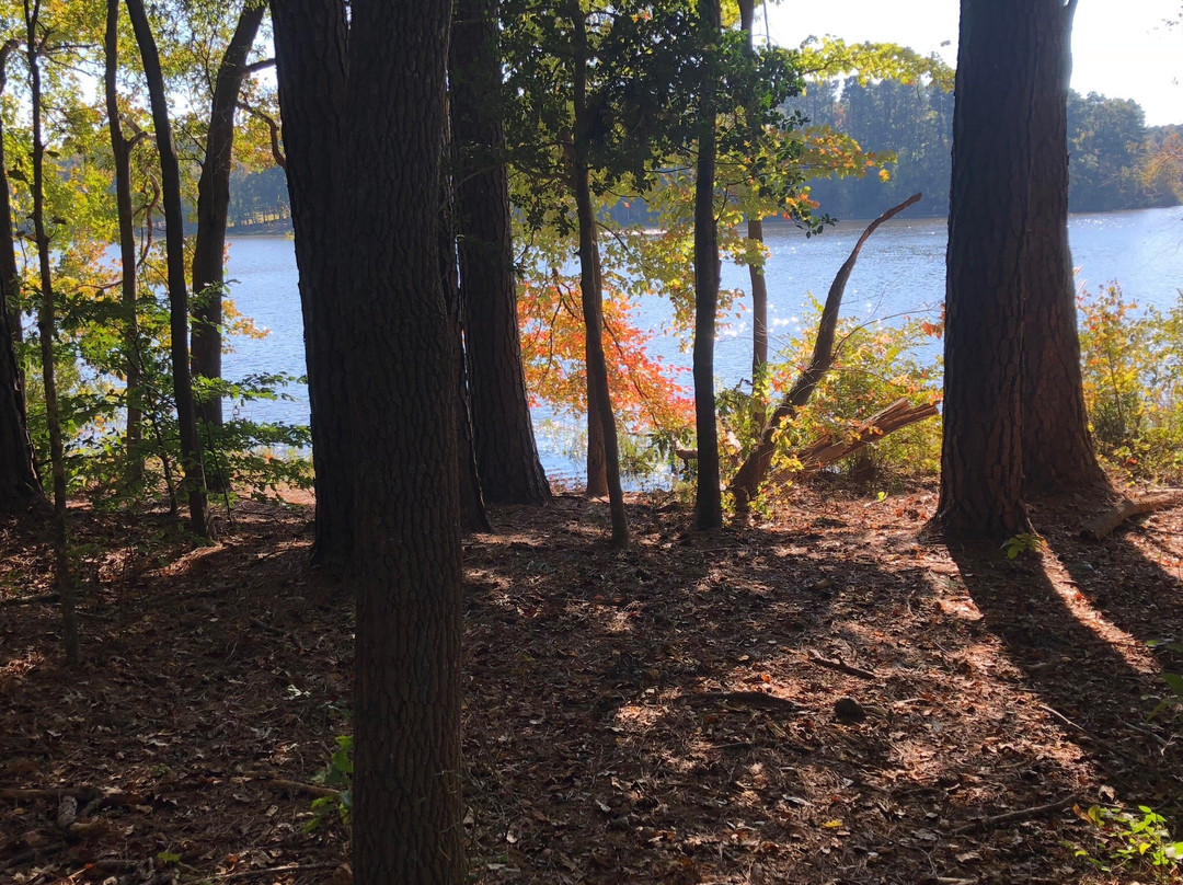 Lake Benson Park-Garner必去景点