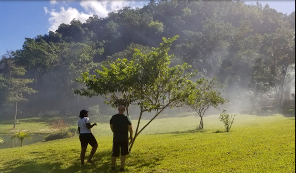 Ilysse Experiences: Culture Market Jamaica-Unity必去景点