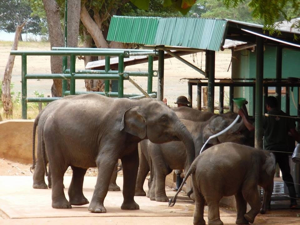 Tour Planners Lanka (Pvt) Ltd.-拉非尼亚山必去景点