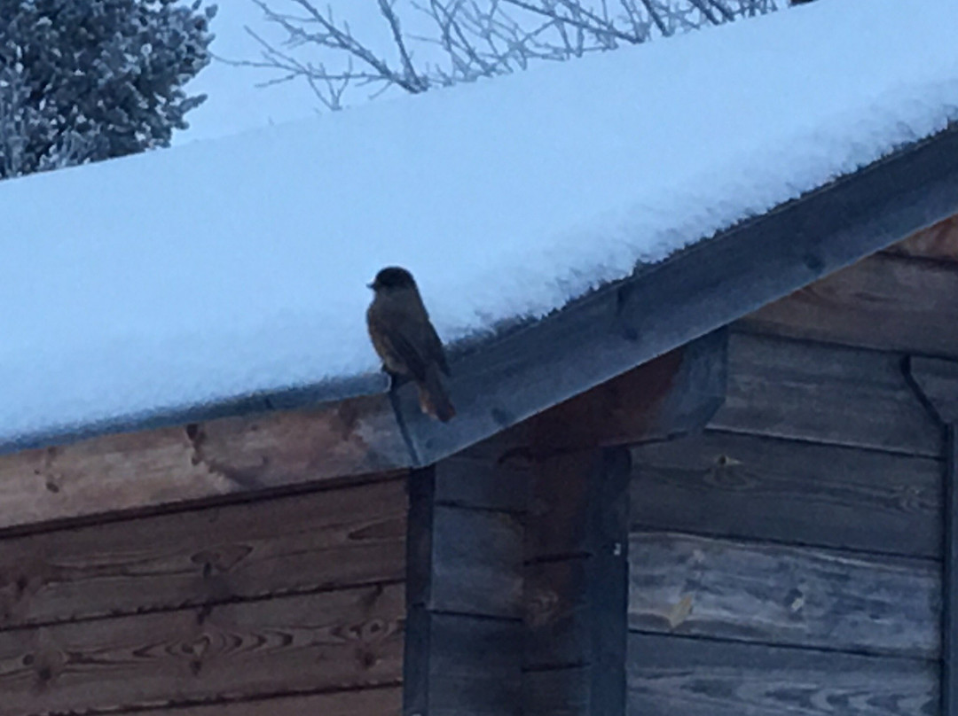 GoAhti Experience x Design x Food&drink-伊纳里必去景点