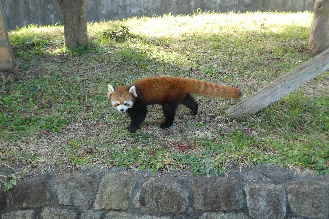 Oshima Park-大岛町必去景点