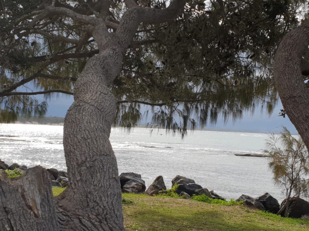 Woody Head Campground
