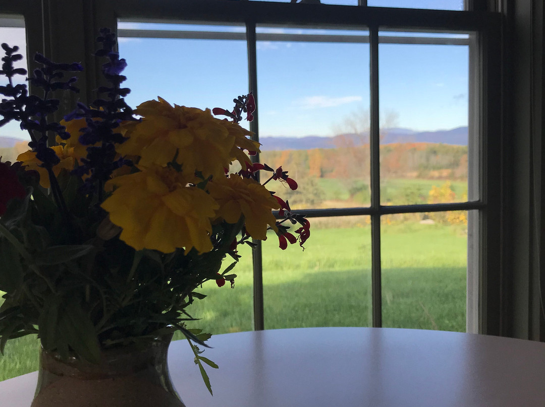 Whitford House Cottage主图